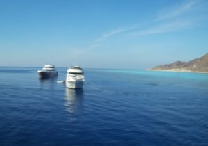 Lire la suite à propos de l’article Croisière en Egypte du 22 au 29 Octobre 2022