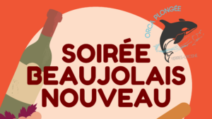 Lire la suite à propos de l’article Soirée VA – Beaujolais Nouveau – 21/11/2024